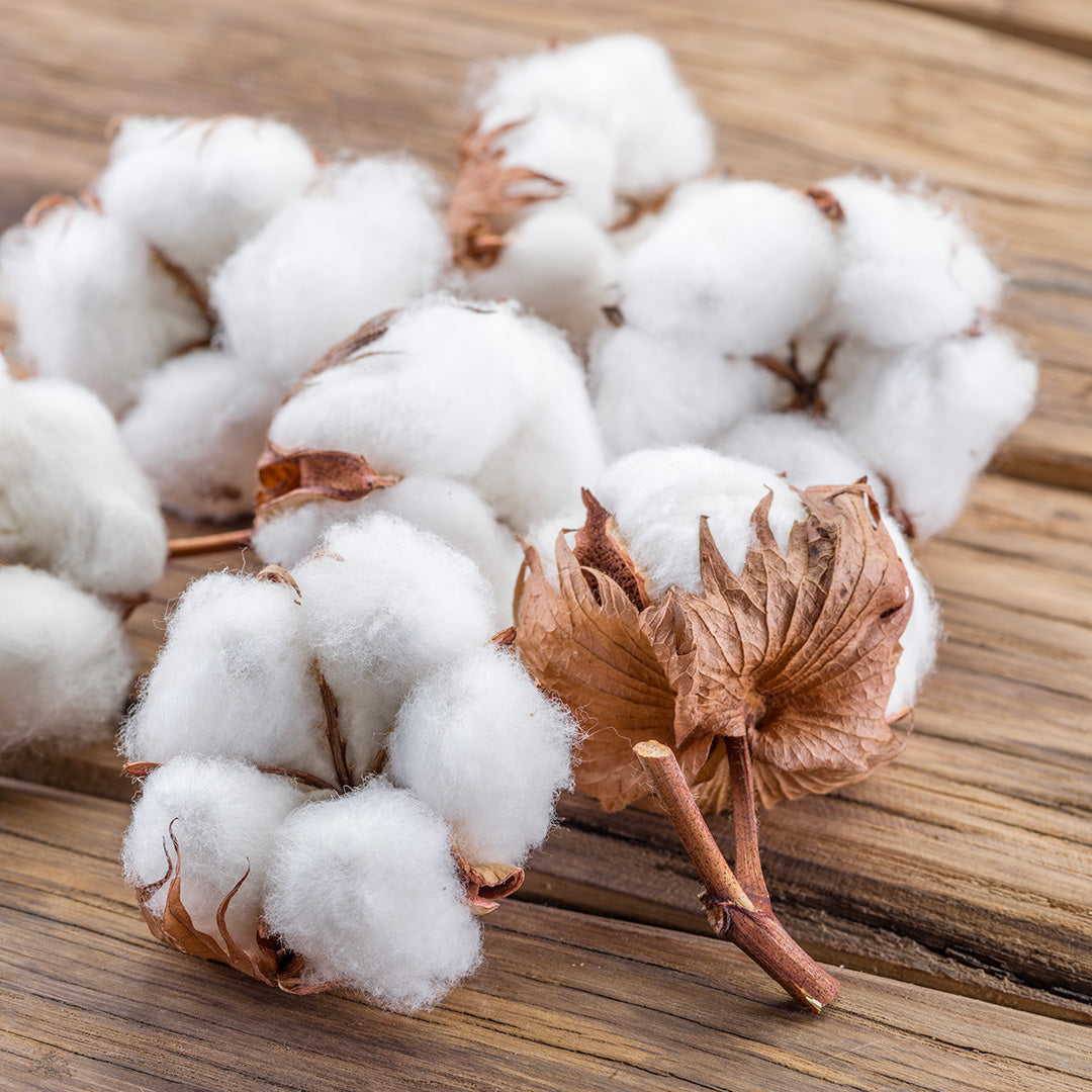 Coton Biologique