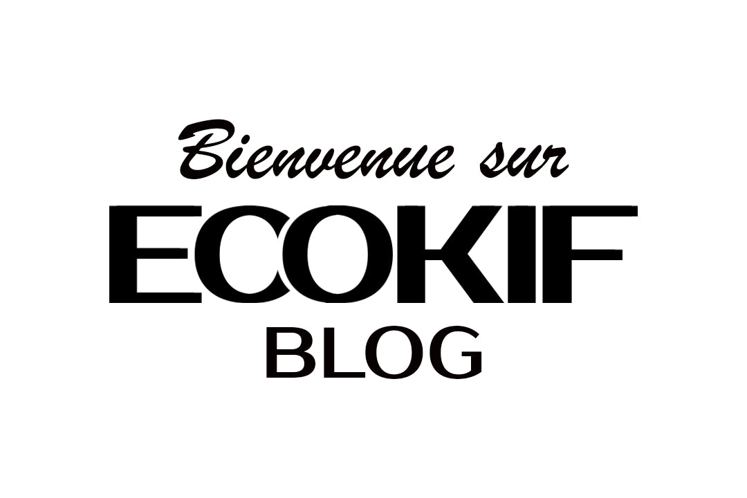 Bienvenue sur le Blog Ecokif